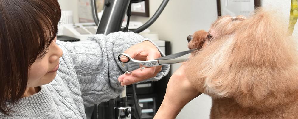 pet salon chacotto smile（ペット サロン チャコット スマイル）