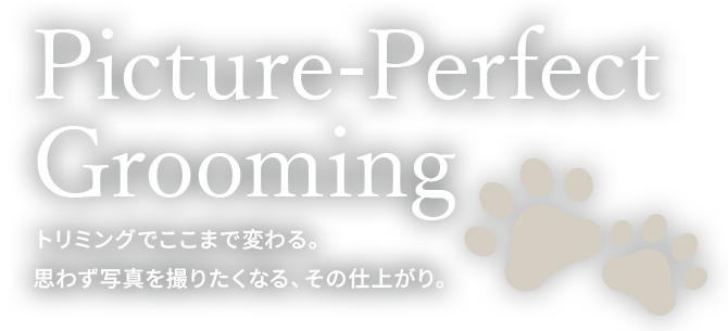 Picture-Perfect Grooming トリミングでここまで変わる。思わず写真を撮りたくなる、その仕上がり。